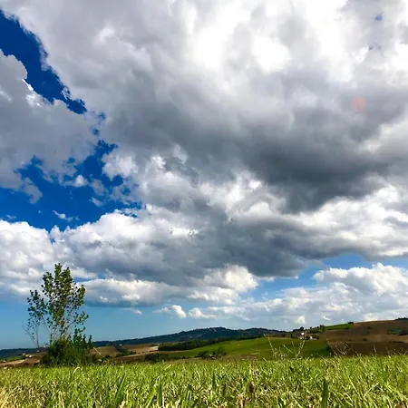 Ritorno Natura *