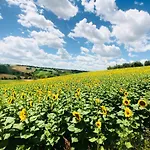 Ritorno Natura Farm stay *